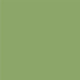 Bee Happy: Green / Light Yellow 12x12 Coordinating Solid