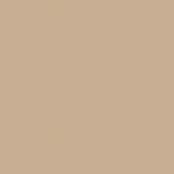 Wintertime: Dk. Blue / Tan 12x12 Coordinating Solid Paper