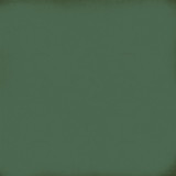 A Vintage Christmas: Red / Green 12x12 Coordinating Solid Paper