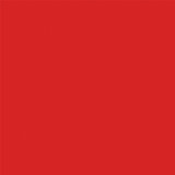 Christmas Joy: Red / Green 12x12 Coordinating Solid Paper