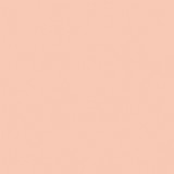 Here There and Everywhere: Green / Light Pink 12x12 Coordinating Solid