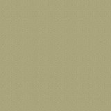 Pressed Floral: Be Bold Stems 12x12 Patterned Paper