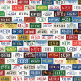 Road Trip: License Plates 12x12 Patterned Paper