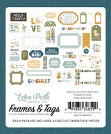 Special Delivery Baby Boy Frames & Tags