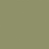 Special Delivery Baby: Lt. Green / Brown 12x12 Coordinating Solid Paper