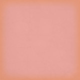 Cowgirl: Brown / Pink 12x12 Coordinating Solid Paper Cowgirl: Brown / Pink 12x12 Coordinating Solid Paper