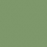 Strawberry Fields: Blooming Berries 12x12 Patterned Paper