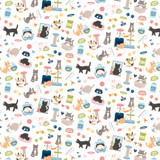 Cat Lover: Cat Lover 12x12 Patterned Paper
