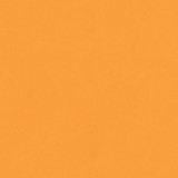 Cat Lover: Blue / Orange 12x12 Coordinating Solid Paper