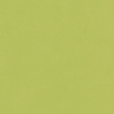 Cat Lover: Green / Navy 12x12 Coordinating Solid Paper