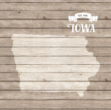 Stateside: Iowa 12x12 Patterned Paper