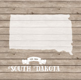 Stateside: South Carolina 12x12 Patterned Paper