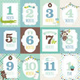Sweet Baby Boy: Month Cards 12x12 Patterned Paper