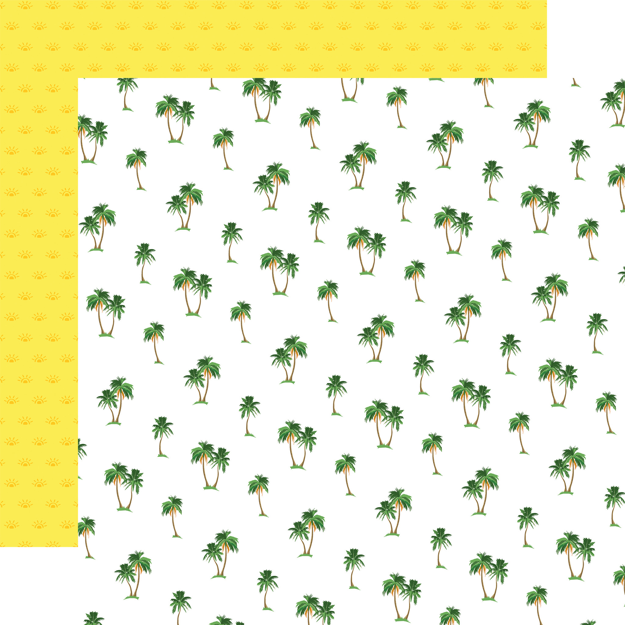 Beach Town: Palm Trees 12x12 Patterned Paper - Echo Park Paper Company