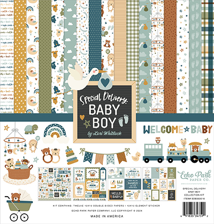 Special Delivery Baby Boy - Shipping January 2024