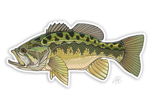 Casey Underwood Largemouth Bass Decal Sticker