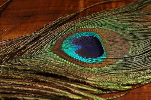 Hareline UV2 Peacock Eyes