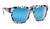 Forecast Cid Sunglasses