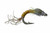 Montana Fly Company Pennington's Biot Emerger