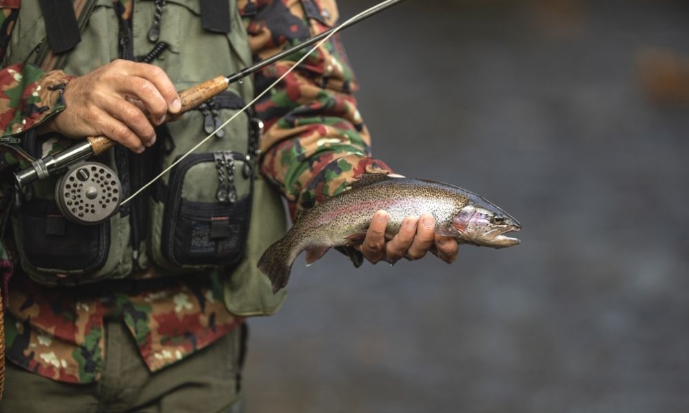 Cortland Fly Fishing Line Cleaner Lubricated Pads EASY TO USE ON THE BANK