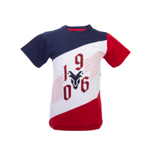 PLAYERA TRICOLOR 1906 ÍCONO CHIVA PARA NIÑO PLAYERA TRICOLOR 1906 ÍCONO CHIVA PARA NIÑO