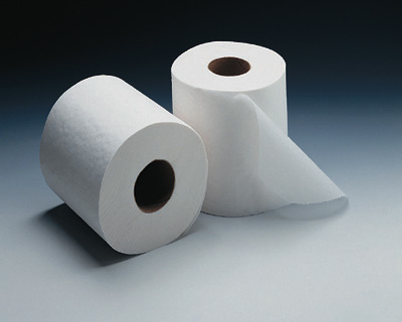 Bathroom Tissue (Qty) 96 Rolls