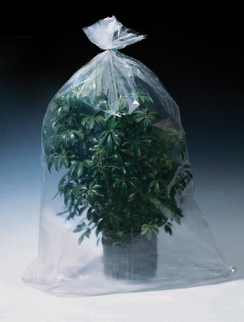 38" x 64" Low Density Flat Poly Bag - Perforated on a Roll of 150 Bags (2 mil) (Qty) Roll of 150 Items