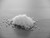 Taste·ology™ - Mediterranean Sea Salt (loose salt) by go lb. salt ® - store.golbsalt.com