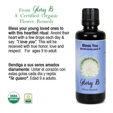 Bless You Flower Essence Remedy