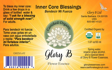 INNER CORE  BLESSINGS use when you want relief from being out of balance