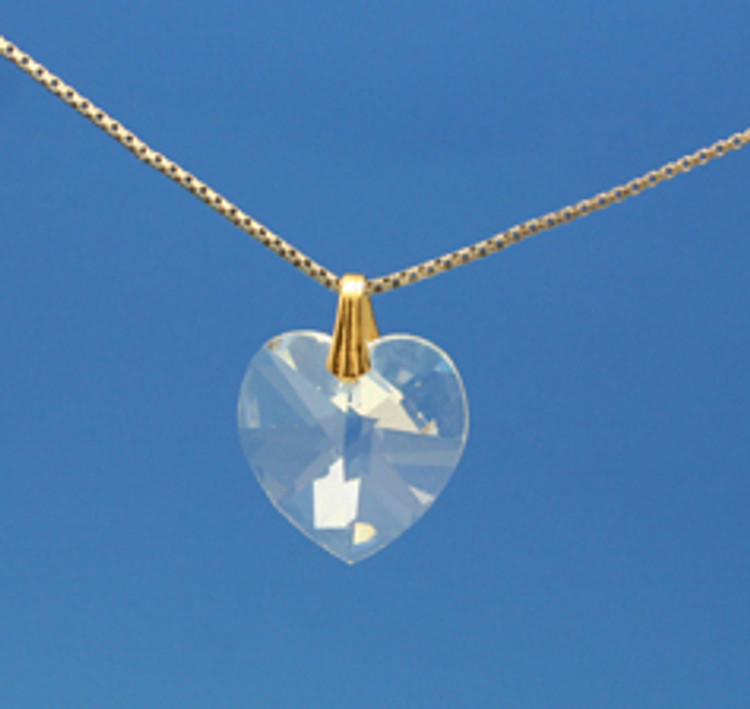 Biogenesis Heart Pendant