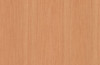 Nevamar High Pressure Laminate Recon Oak WZ0005 Vertical Medium Gloss  4' x 8'