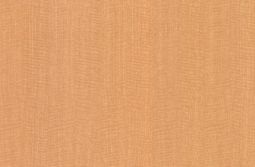 Nevamar High Pressure Laminate Golden Anigre WA0001 Vertical Medium Gloss  4' x 8'