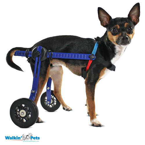 Silla de ruedas para perro, carrito ajustable para mascotas, ruedas para  caminar, para perros discapacitados, rueda de movilidad para rehabilitación