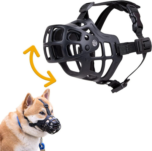 Alpha deals dog muzzle