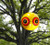 Scare-Eye Balloons (3 PACK)