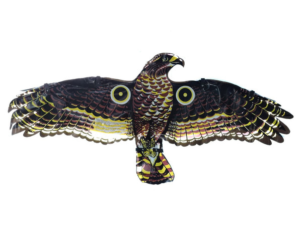 Scare Hawk Decoy