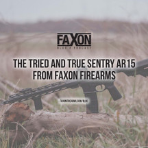 The Tried and True Sentry AR15 The Tried and True Sentry AR15