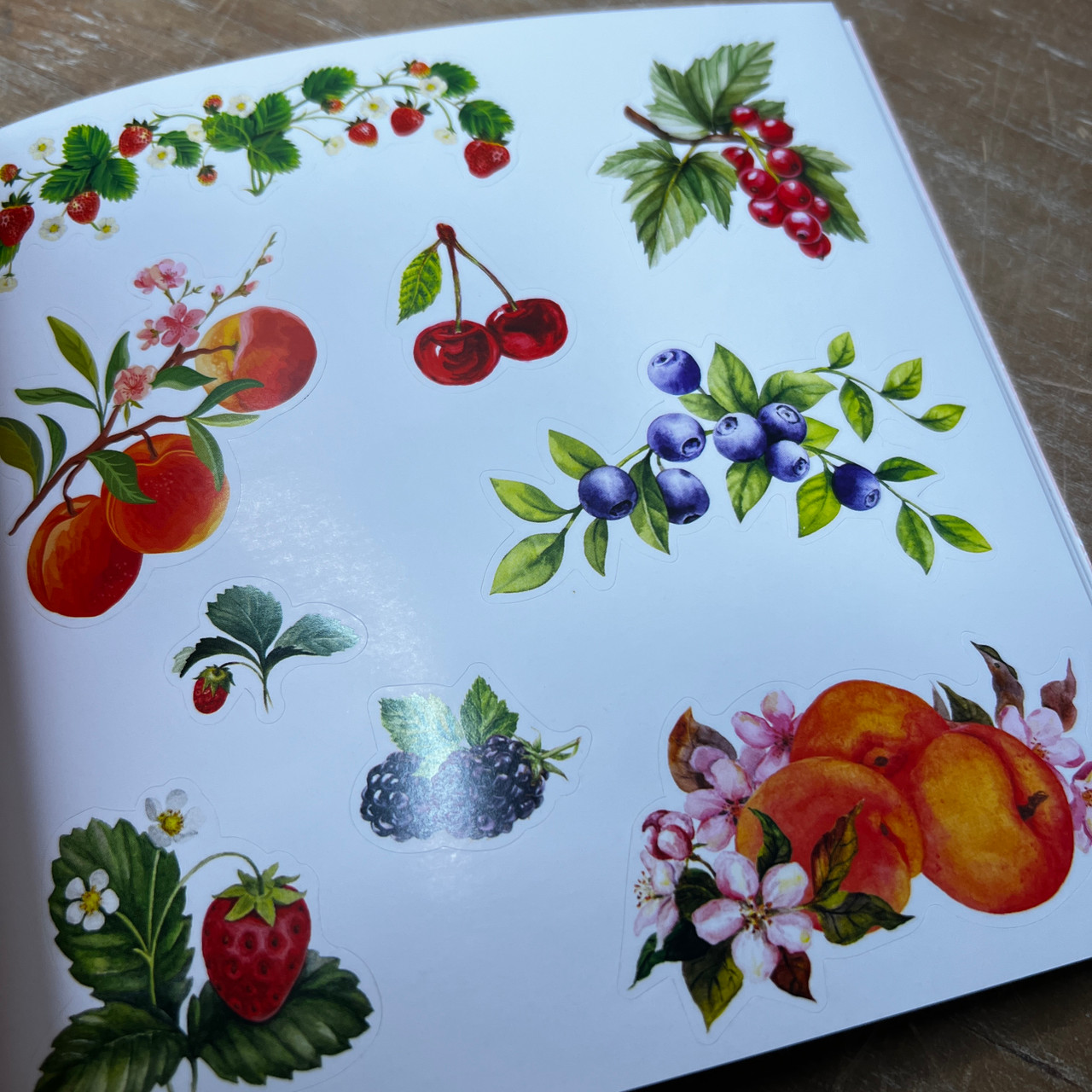 Tons of Botanicals Sticker Book [Book]