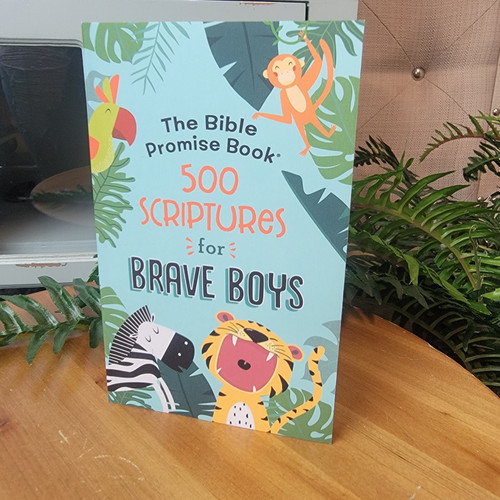 The bible Promise Book 500 Scriptures for Brave Boys