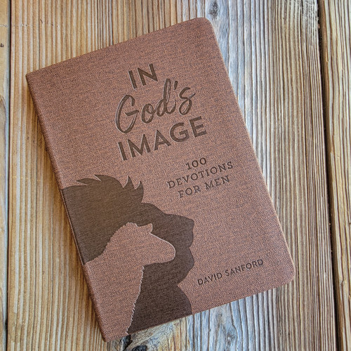 In God's Image 100 Devotions For Men