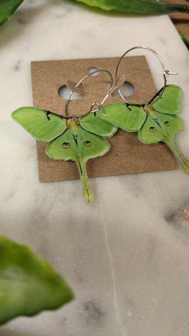 Luna Moth Earrings