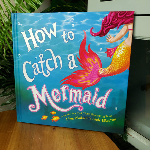 How to Catch a Mermaid