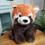 Large Red Panda Warmie