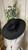 Ribbon Band Hat-Black