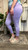 Colleen Skinny Pants-Lavender