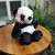 Small Panda Warmie