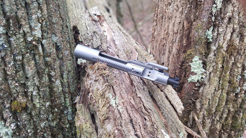 PAMAX XSlick Metallic Silver Bolt Carrier Group