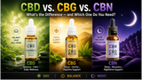 CBG vs. CBD vs. CBN: What's the Difference and Which One Do You Need?