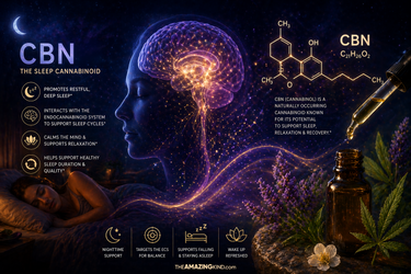 What Is CBN? The Complete Guide to the Sleep Cannabinoid | Amazing Kind